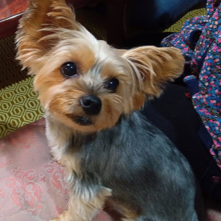 60ee9c0f 7cc7 408d aa98 78409636339b 1754809083954