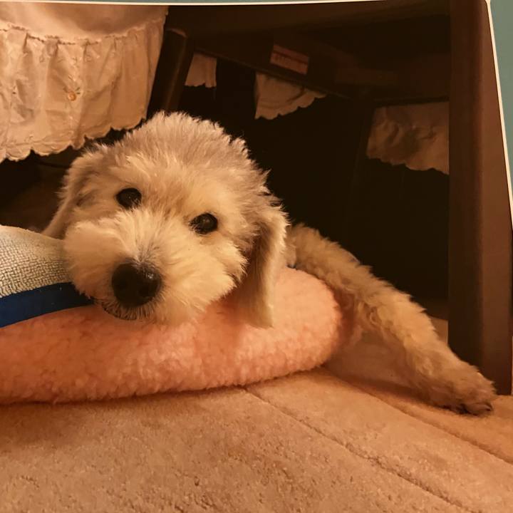 60eea0d6 9dd5 4ae1 8f9b 5a7f5c2a5866 1699350431153