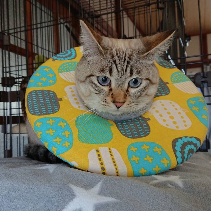 60eed7f0 26a7 457d 971d d9d32c7c57f2 1515906120164