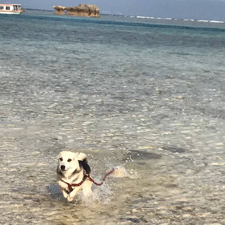 60ef02f7 bea8 4657 a2d3 9821c428a0da 1521901025534