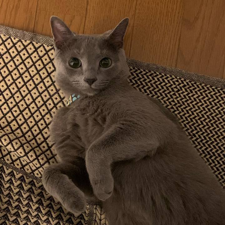 60ef2d01 5146 456c a9d0 8b5a45da7e13 1600682677694