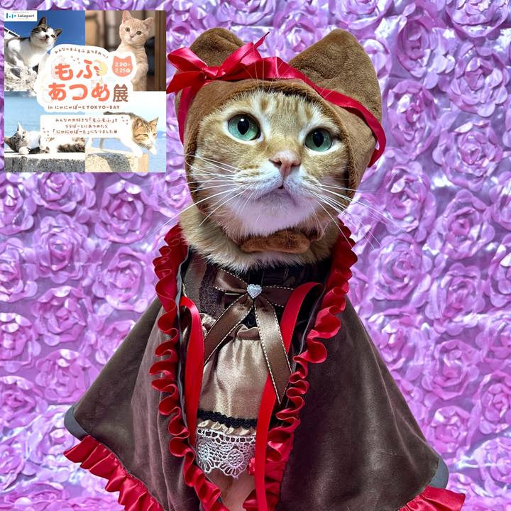 60ef450f c780 4d6c 941a eab8a8ec3d23 1707527946909