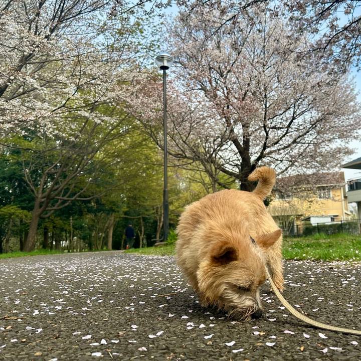 60ef50ca ae85 40da 96e5 c50710b3d60a 1712584111023