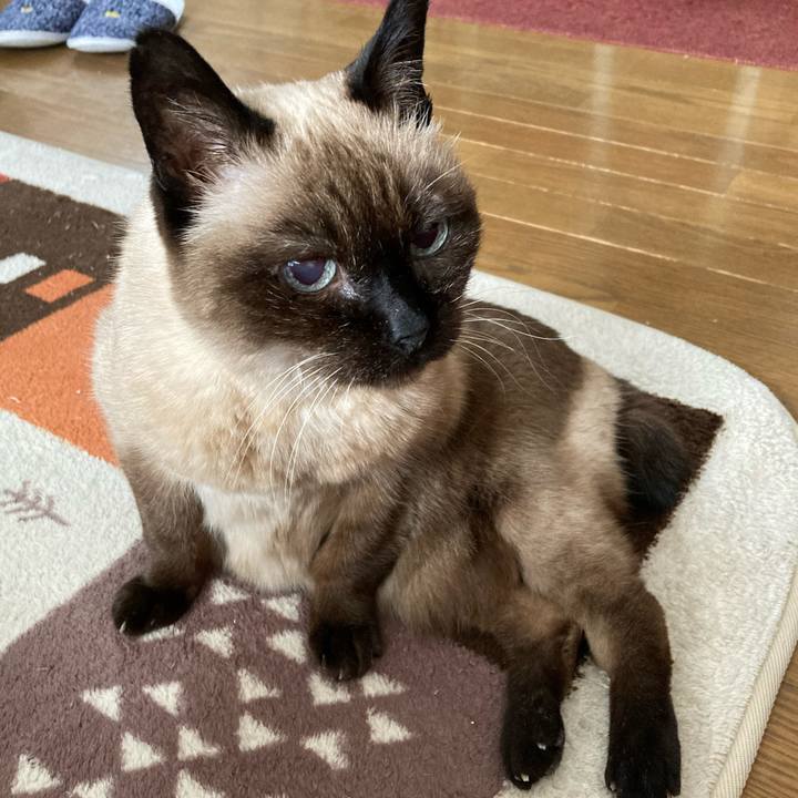 60ef59d5 eab9 4cfc 91f1 0950204c57f5 1612148096083