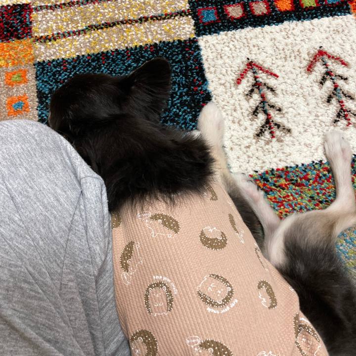 60efbcf8 b306 4af9 8527 41d32f98fc78 1683474499202