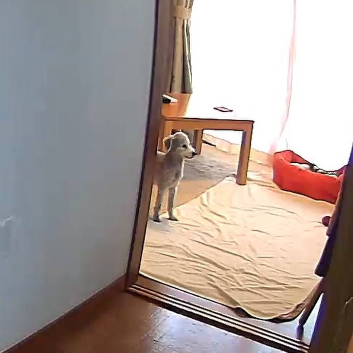 60efcfc8 39e0 4137 a470 a0f5bb776ca5 1589970804960