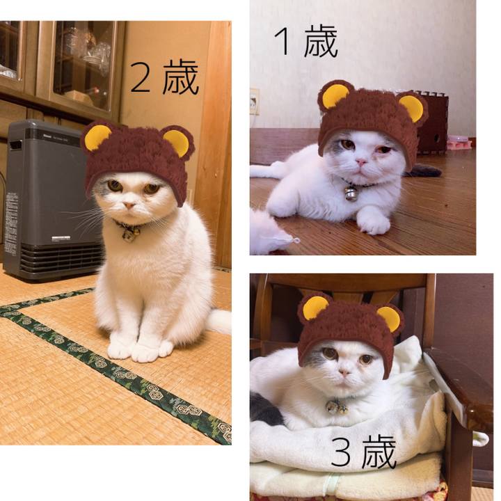 60effcac 4fd5 4ffe ab0c b40bfcbd4289 1635600262385