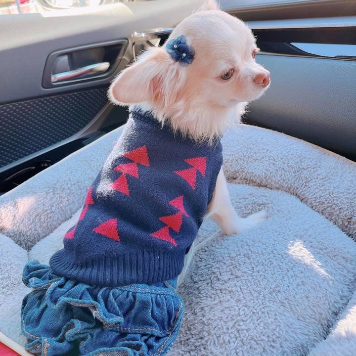 60f014e2 289a 4f34 92f4 1fe421166a9a 1669275331136