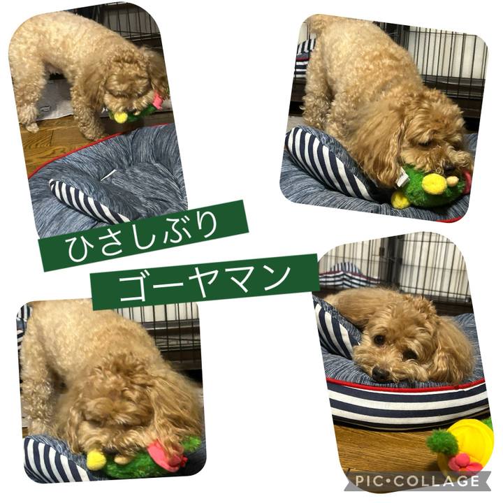 60f02742 419d 434d b4d1 b51aace94125 1722764809491