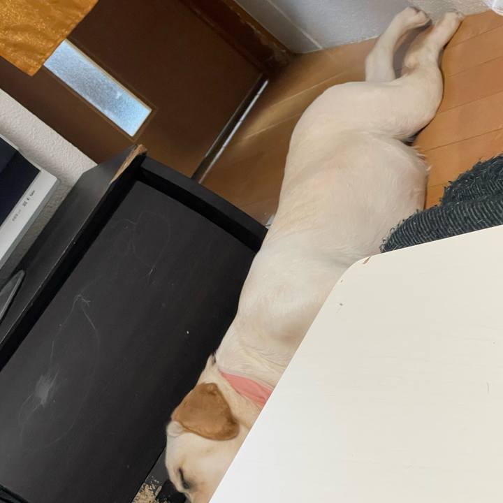 60f03066 a1a2 43f7 a264 71df74f6b2ee 1646112115965