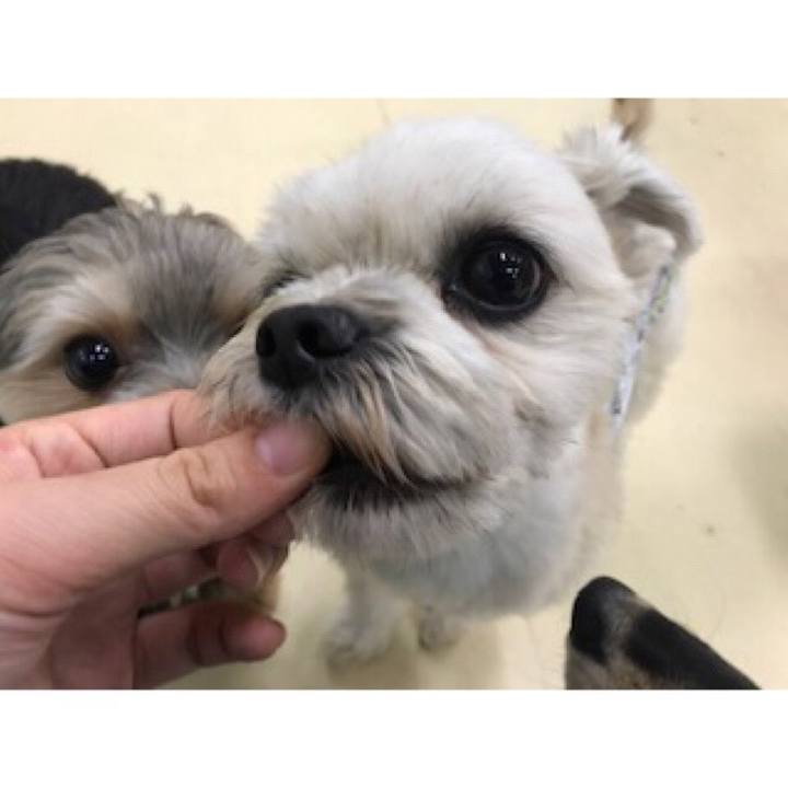 60f0a344 8d7d 4351 836b 48b03d3d592a 1542710438699