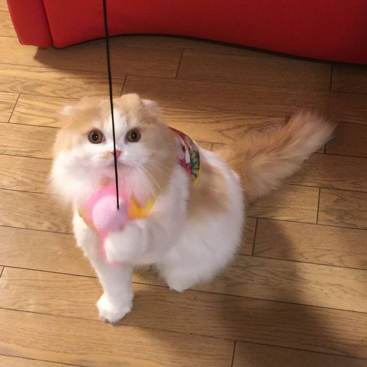 60f0bbda 0b26 4653 9e91 111446cf6d6e 1517134628910