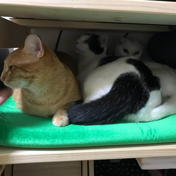 60f0ea17 03ed 482f 850e bd277c68dda0 1508159403853