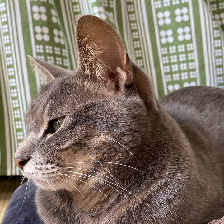 60f0efc7 4fcc 4c39 bdde e5a349d9e0ab 1614397057830