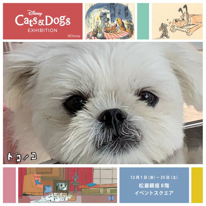 60f0f1b3 4376 4ce8 8e1b d9ee06bec703 1638619862158