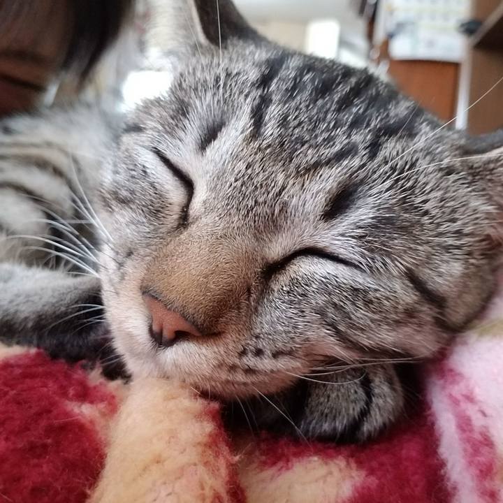 60f1082b 8c71 4291 9d00 0d6ecfc116c4 1671757750730