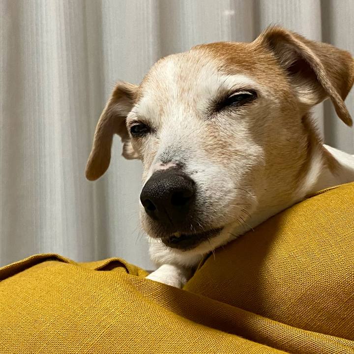 60f113c5 6e09 4e84 9294 6ee6bf0ede15 1674642196379