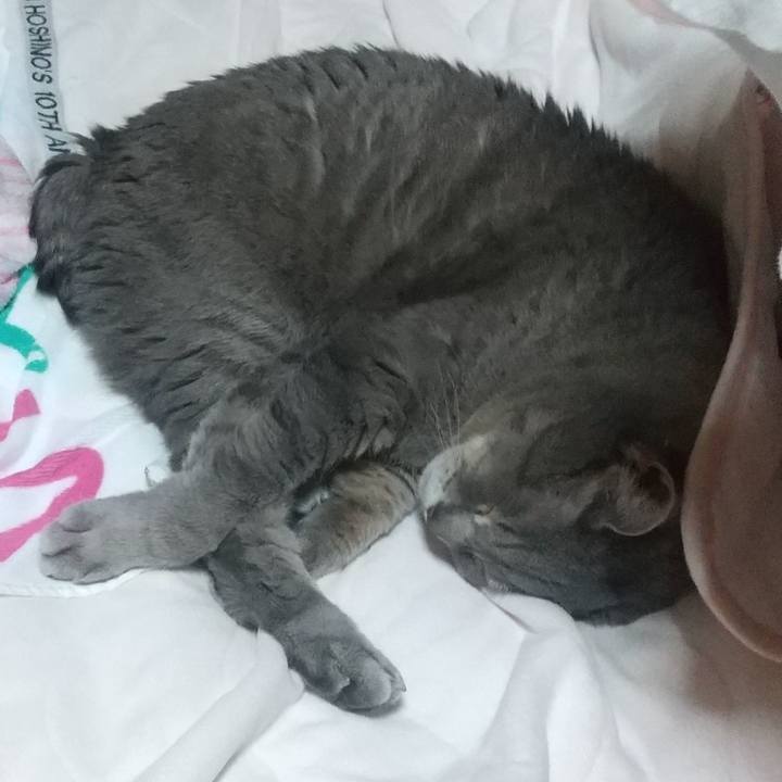 60f15079 85cb 4a5c a449 3f2370e8f6e7 1647257371452