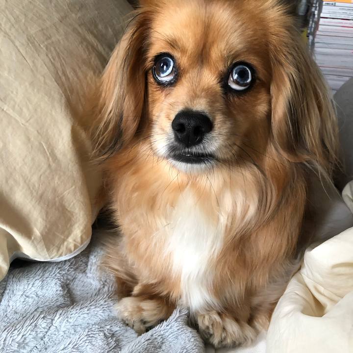 60f1587f 47df 4cf7 b5ff b1efd3b9f49b 1556503374878