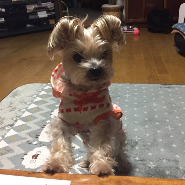 60f16421 5efa 4bf0 bde3 3dadfc3ad0e2 1549455653726