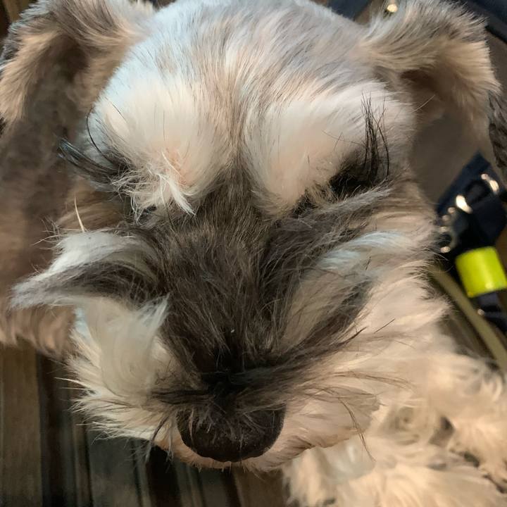 60f1793e 1126 4256 9bf3 72e23ce7829a 1607811512028