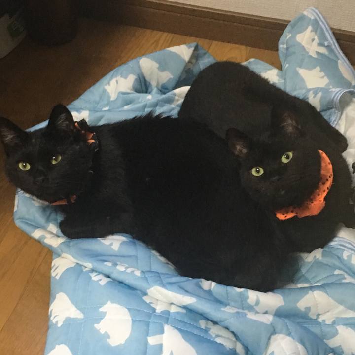 60f195e7 a6a7 4f23 a1b5 46b253655de1 1538811777587