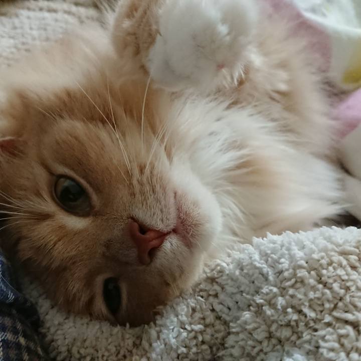 60f1eca8 06f9 495e b95b a364bd4aa93a 1583315889047