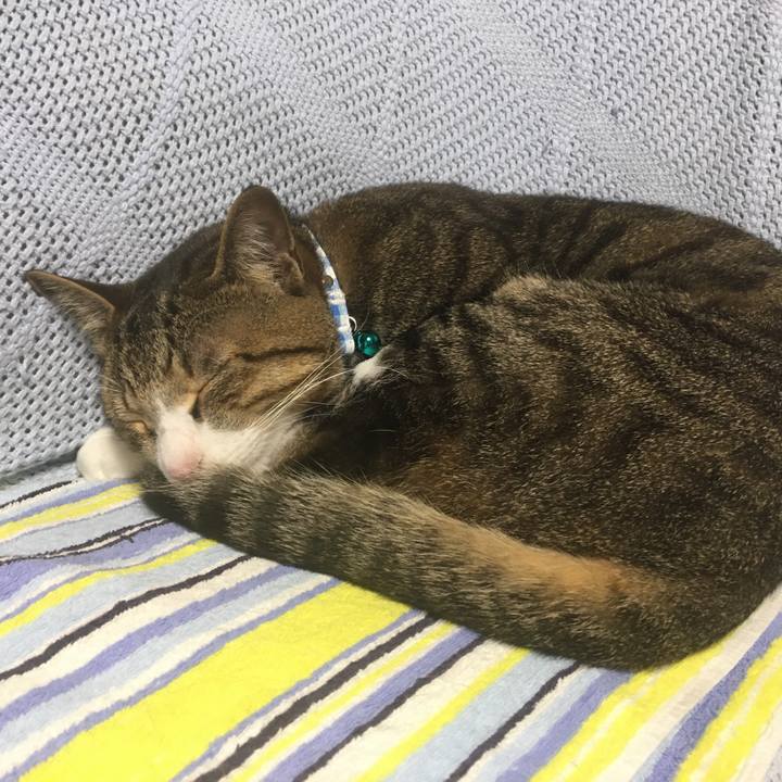 60f21e14 21d8 48c3 b8d9 4abeec471738 1689654726159