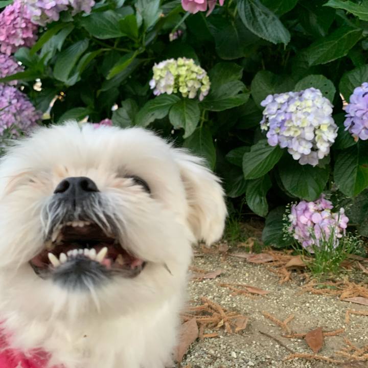 60f24d36 7d21 4cad a2c3 ca579ac34008 1719148333873