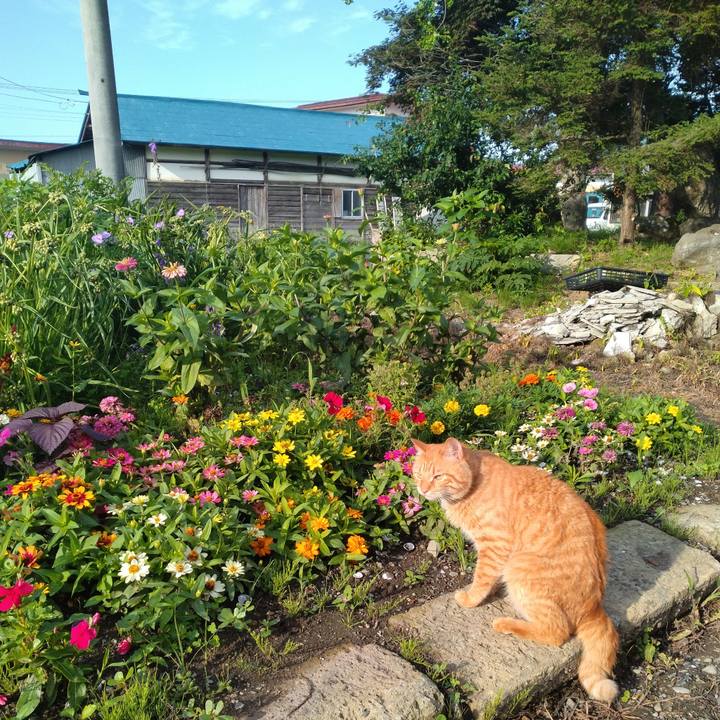 60f266e8 abe9 4f14 8c34 4da9664c8eec 1689117240696