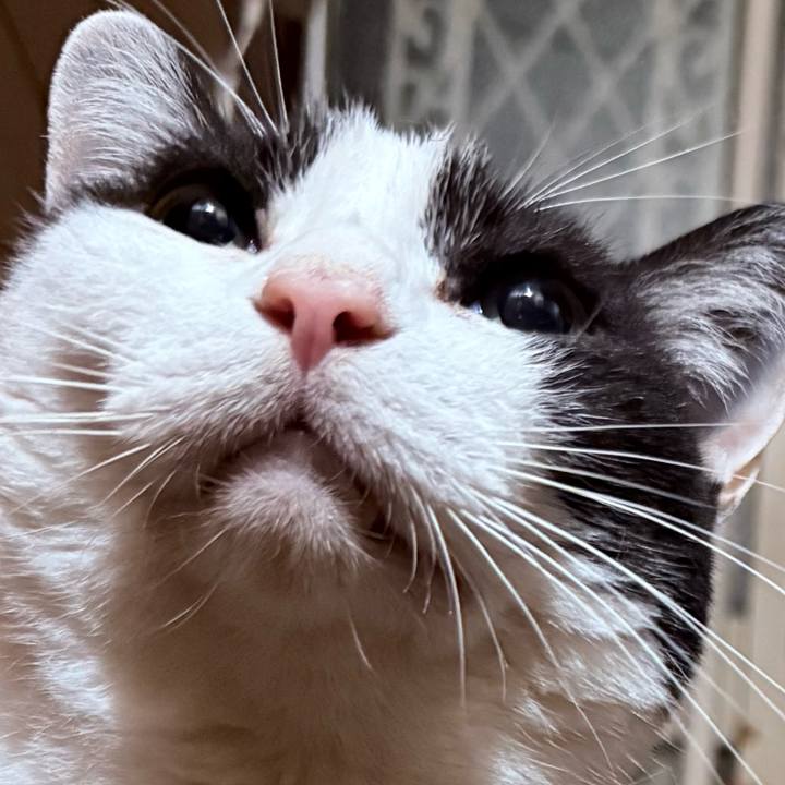 60f2a9f9 8685 4ee8 9afe 07574e0f1955 1757988150493