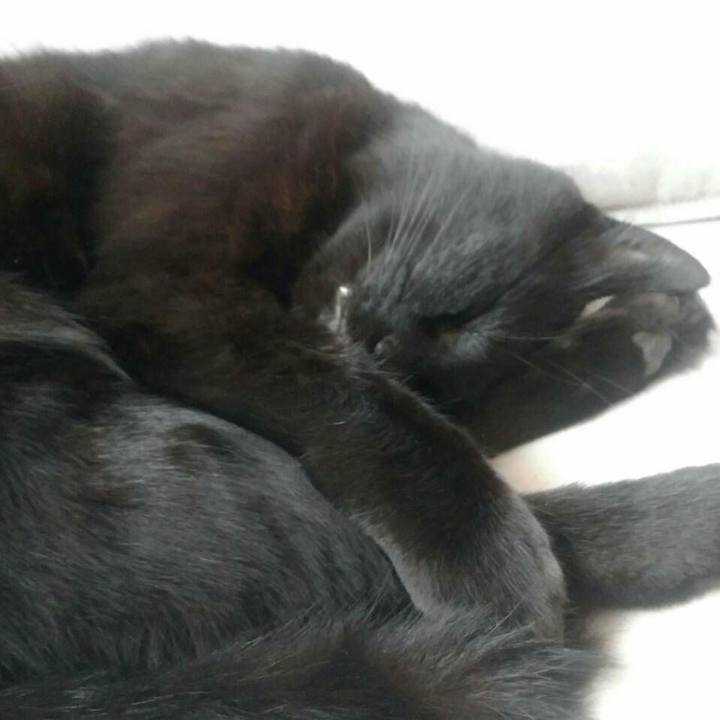 60f2b151 654c 441c ab13 cfd4394046ba 1536723279747