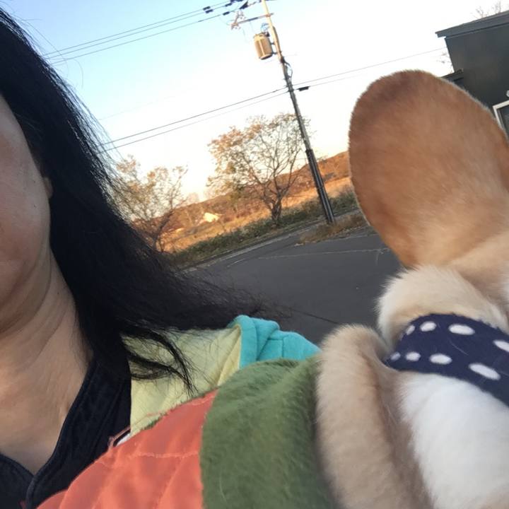 60f2d20a e38c 4e27 9baf 73f4eb15ef99 1508828192275