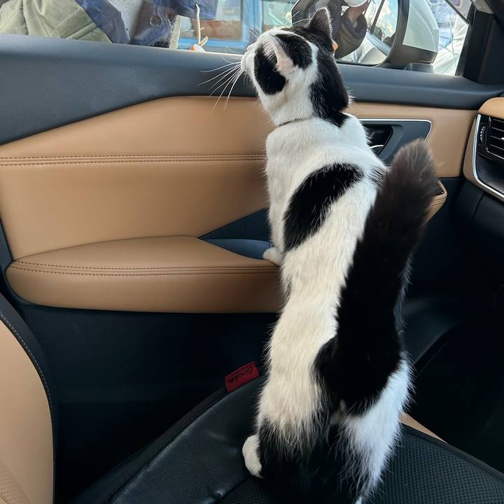 60f37684 0661 4b12 ba69 58e7eb298318 1767743576585