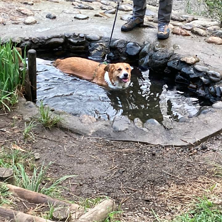 60f3cc21 61b2 4211 8187 6d2fdb9a0c03 1757983516694