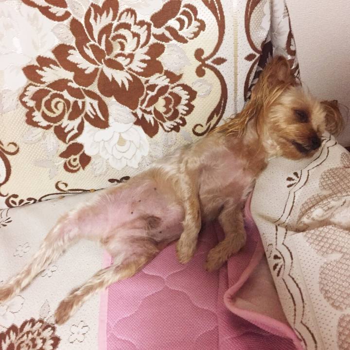 60f41590 52cc 4ce2 83be ecfe7ede6232 1536159006280