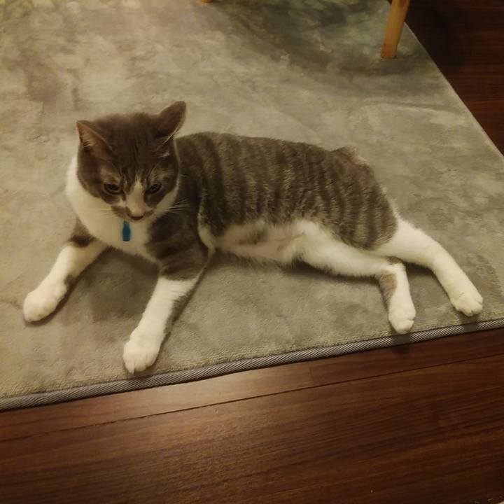 60f41ed5 4d5c 4512 83ed 2e02ddeb9743 1587911837406