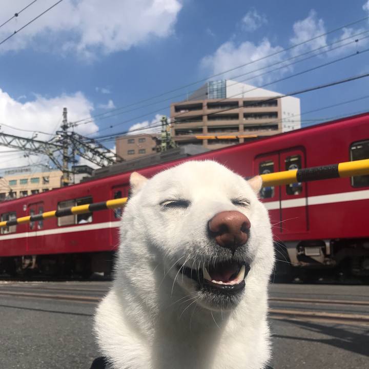 60f45323 c821 46cc 9fbe e1ea0910b7ac 1528156984341