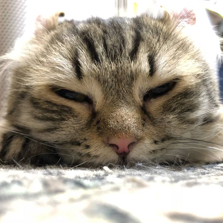 60f478cd 6736 45fc 9866 2f99ed299ef7 1527291986081