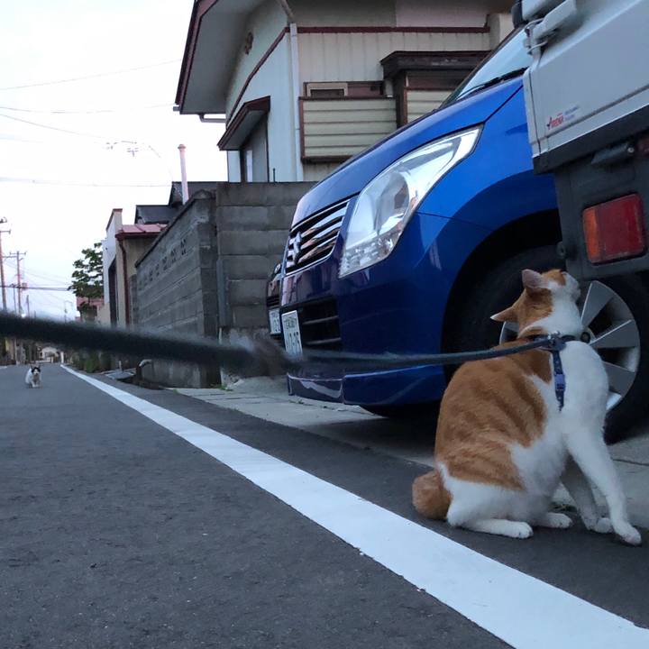 60f4913e 15a6 431b b7f1 bb3fe4a94b50 1562673066832