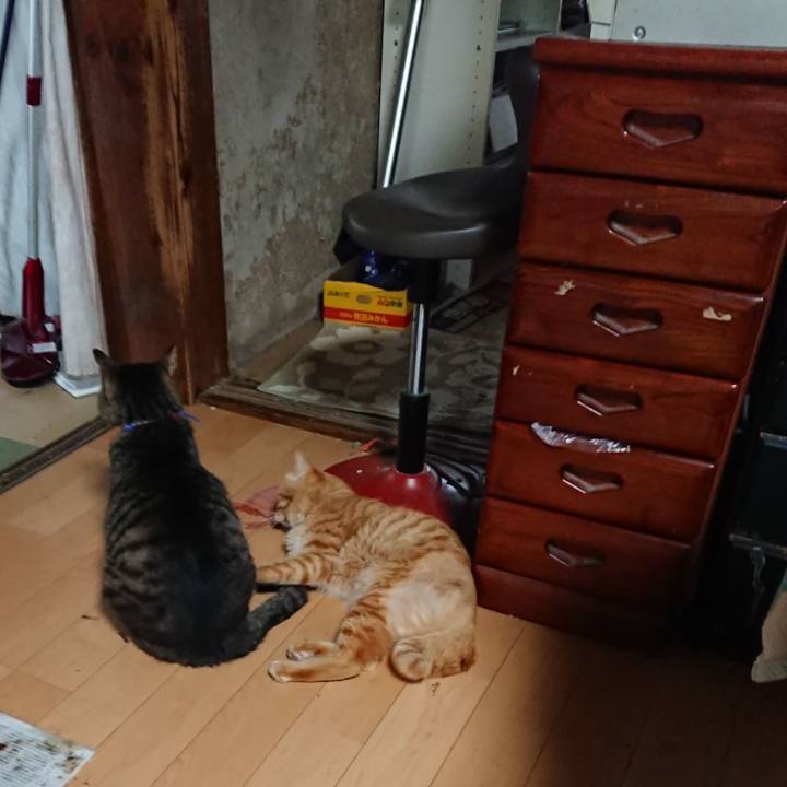 60f4f048 a3a9 4723 bbbe 8cfdb8fe5ba8 1657870732809