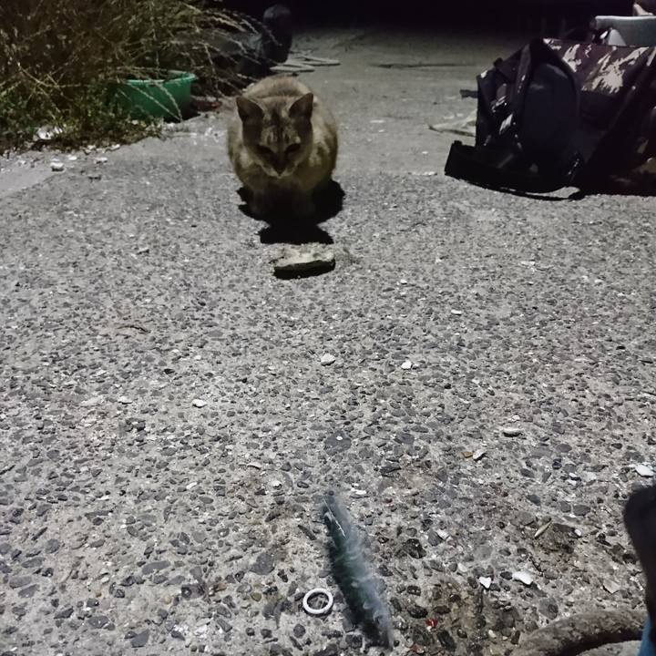 60f501f0 5e6b 4748 b8ce 6fea61858074 1590691899648