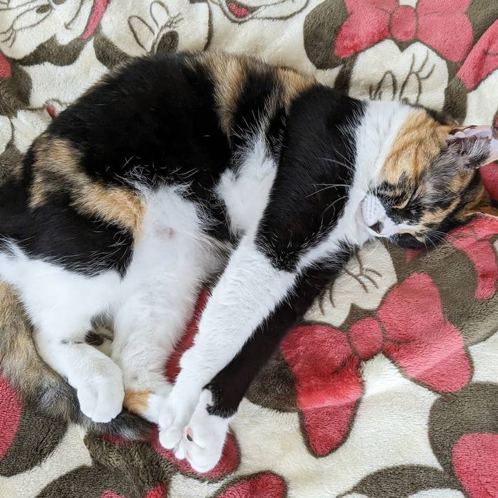 60f50edd 2942 488b bcbe 5a9dcc119216 1686216343285