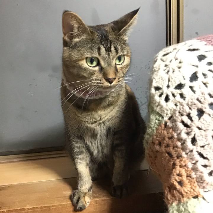 60f51aaa 1380 43d2 b31f 22ad8e41d1b9 1662725368073