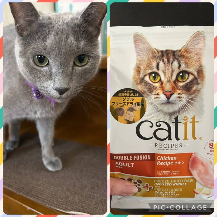 60f5271a 28c8 47f2 a2eb 76447173da00 1762475764164