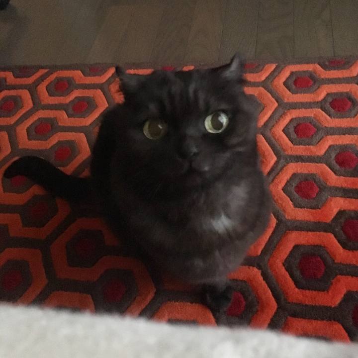 60f55fb6 cbf3 47b0 bece d238038abcfc 1546237789847