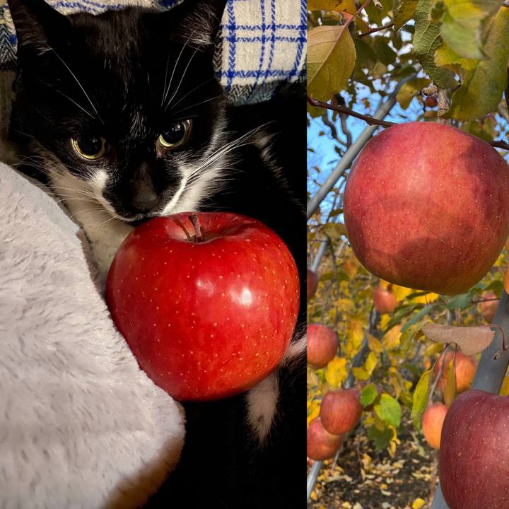 60f569af d5f1 40ae be35 1a550b554a62 1605966231255