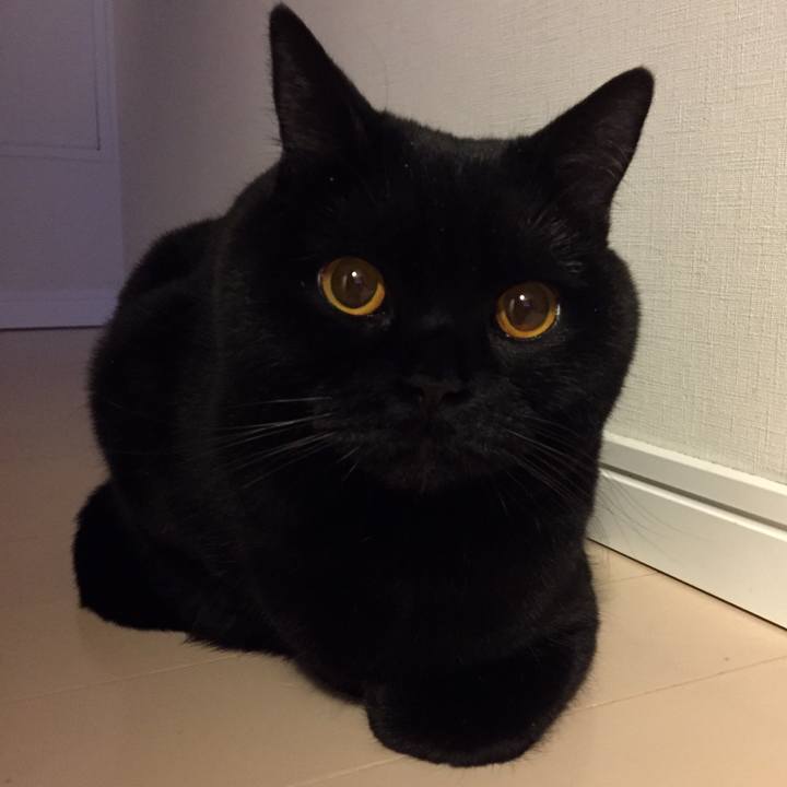 60f5b21b 949c 4a3a bebe 4204cda4a589 1518524207387