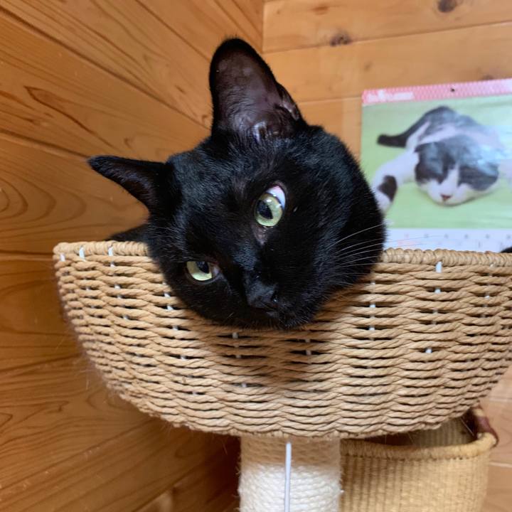 60f5bfd6 be2d 4e4c bbe8 02482c6fafdd 1566461281965