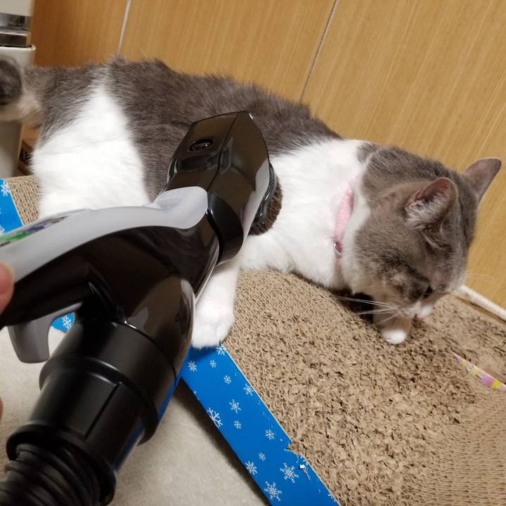 60f5d9bf d8f6 4436 b046 2bcd3d9b7cc9 1580567628998